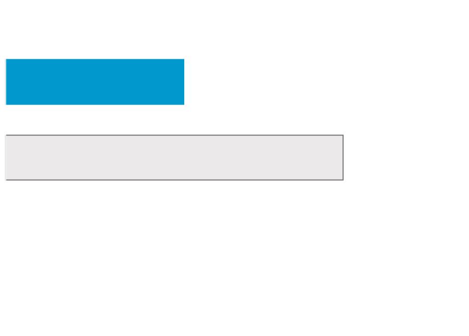 Delivering Affordable Energy to Florida