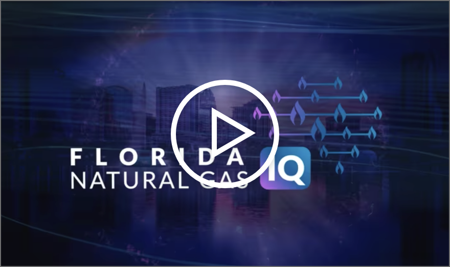 FNGA Florida Natural Gas IQ
